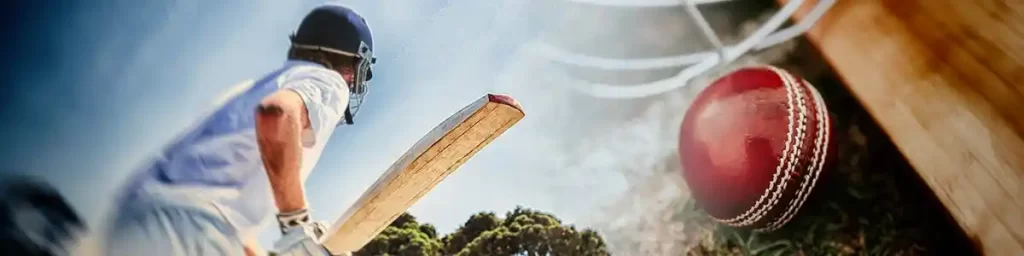 cricket leagues
